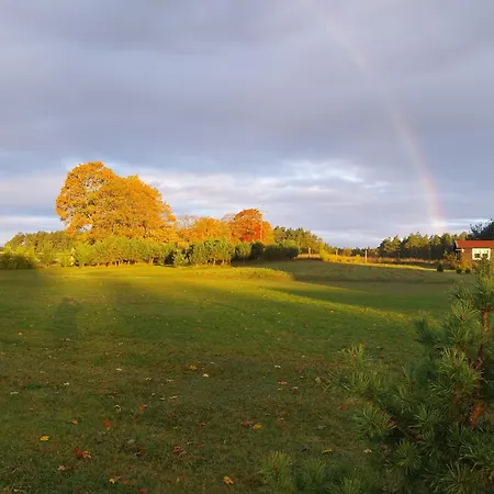 Bzy I Magnolie Lubowo (Szczecinek)