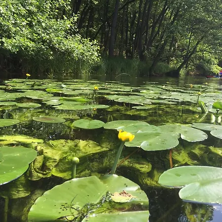 فندق مبيت وإفطار Bzy I Magnolie Lubowo (Szczecinek)